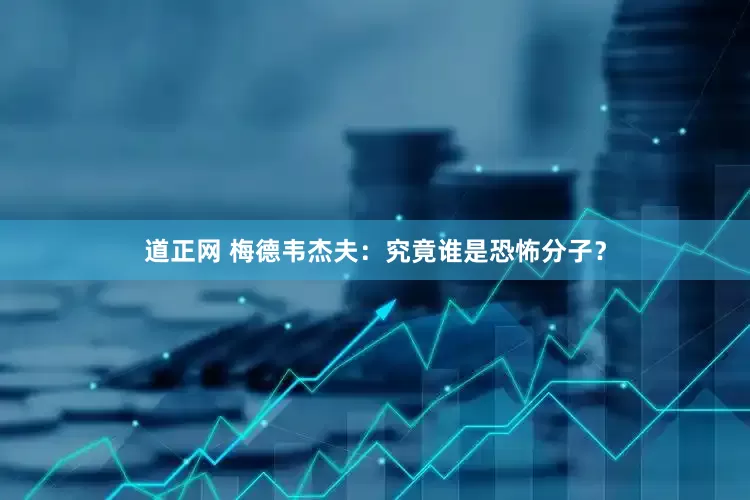 道正网 梅德韦杰夫：究竟谁是恐怖分子？