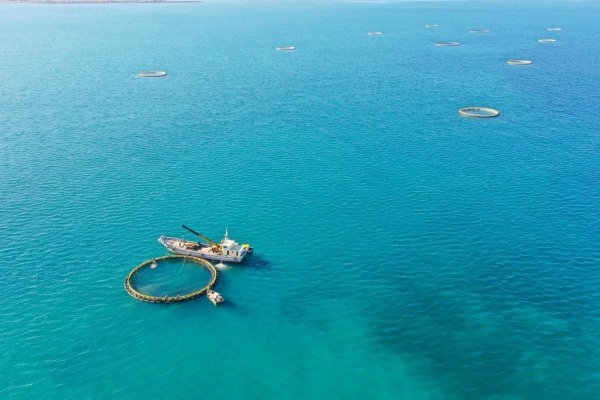 搭搭网 广东：2025年加快建设海洋强省