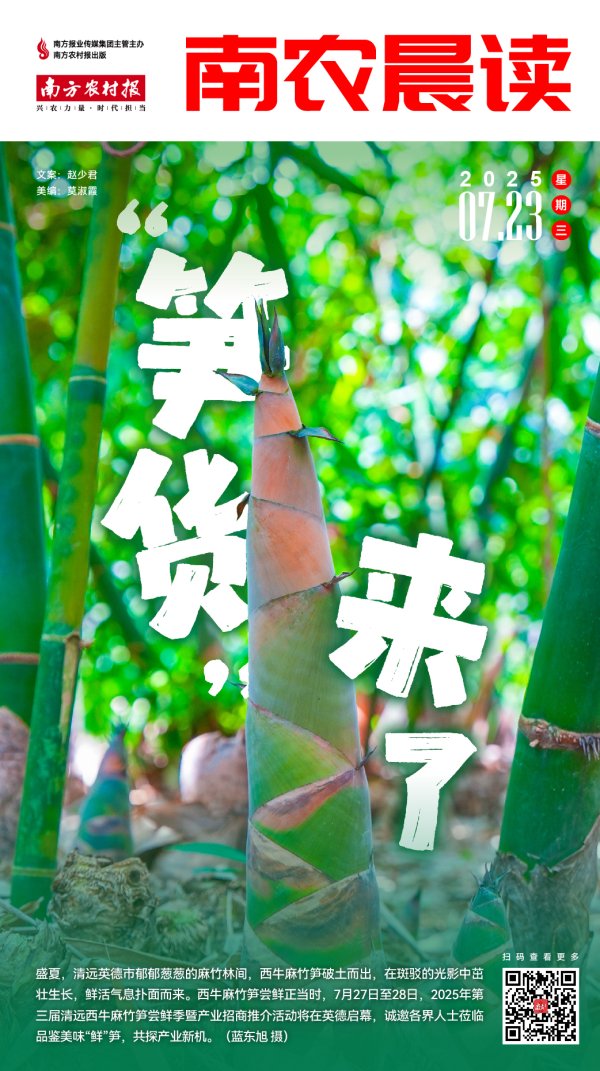 汇盈策略  南农晨读丨“笋”货来了