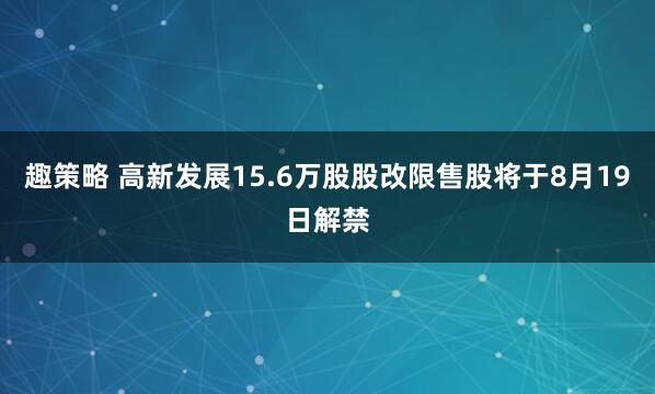 趣策略 高新发展15.6万股股改限售股将于8月19日解禁