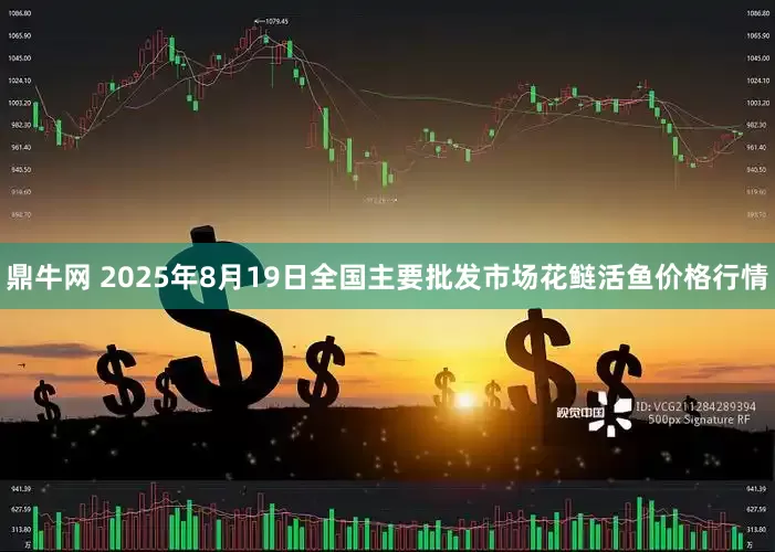 鼎牛网 2025年8月19日全国主要批发市场花鲢活鱼价格行情
