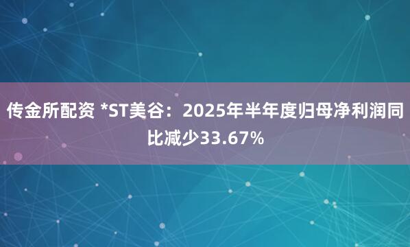 传金所配资 *ST美谷：2025年半年度归母净利润同比减少33.67%